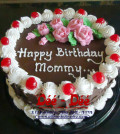 Kue Tart Kode (B2)