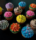 Cup Cakes - NY 02